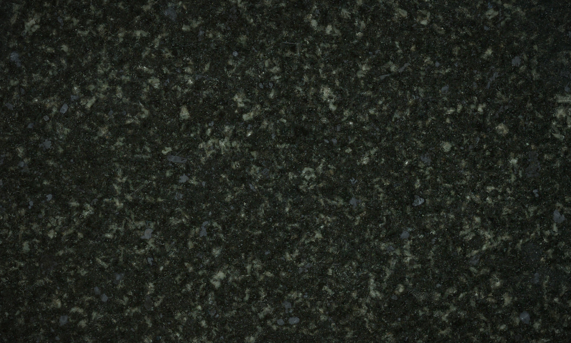 Bengal Black Polished